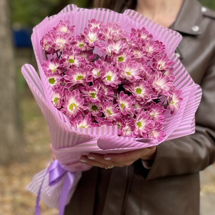 9 бело-фиолетовых кустовых хризантем Бакарди