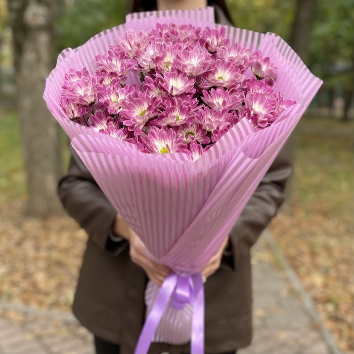 9 бело-фиолетовых кустовых хризантем Бакарди