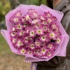 9 бело-фиолетовых кустовых хризантем Бакарди