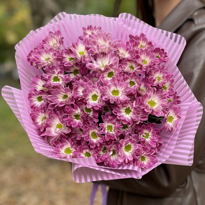 9 бело-фиолетовых кустовых хризантем Бакарди