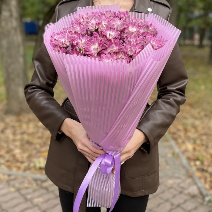 9 бело-фиолетовых кустовых хризантем Бакарди