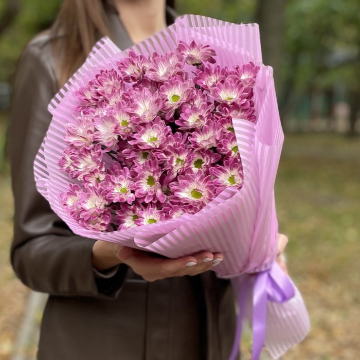 9 бело-фиолетовых кустовых хризантем Бакарди