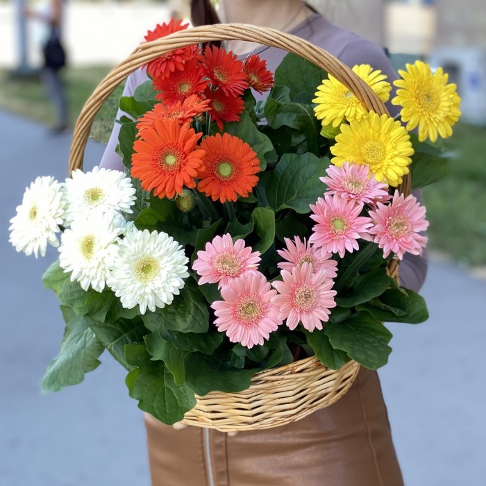 Подарочная корзина гербер