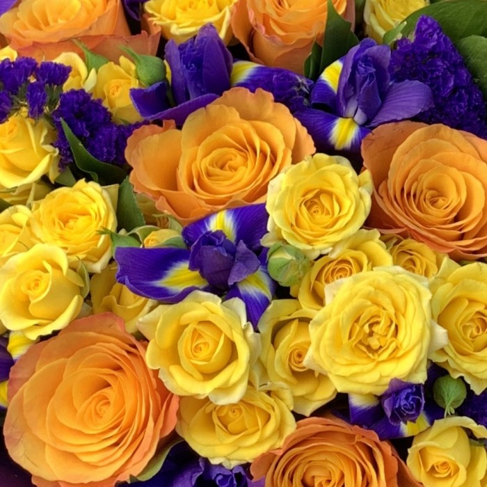 Неукротимая энергия