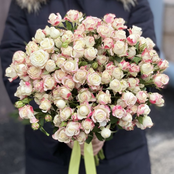 Кустовая пионовидная роза Инносент Блоссом