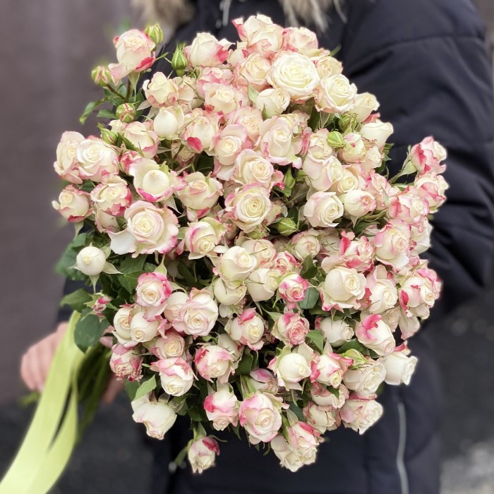 Кустовая пионовидная роза Инносент Блоссом