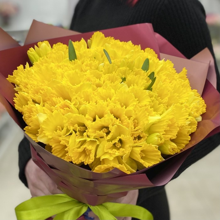 101 желтый нарцисс