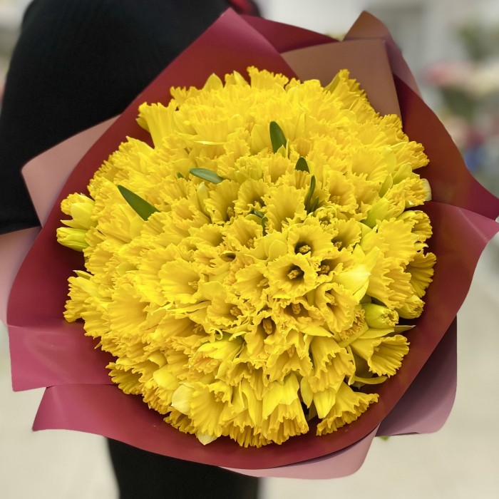 101 желтый нарцисс