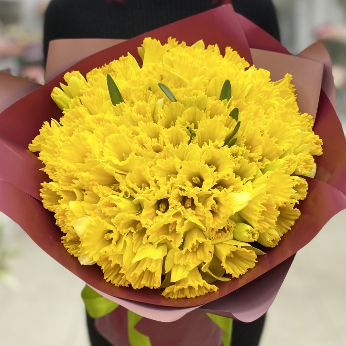 101 желтый нарцисс