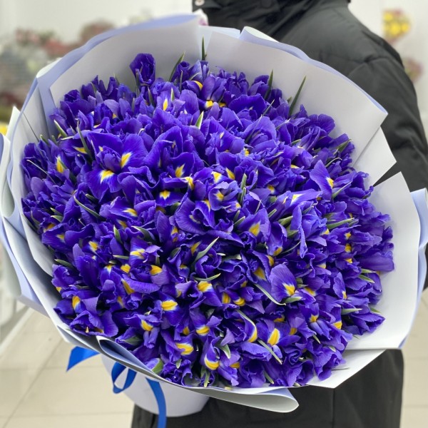 Букет из сиреневых ирисов