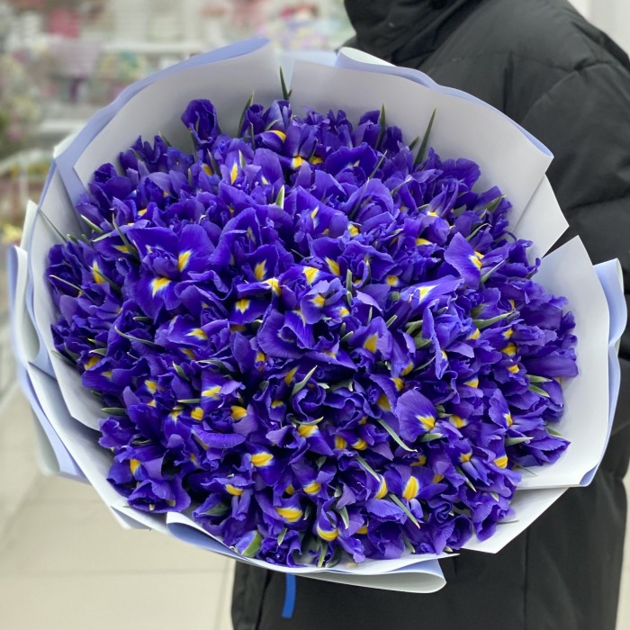 Букет из сиреневых ирисов