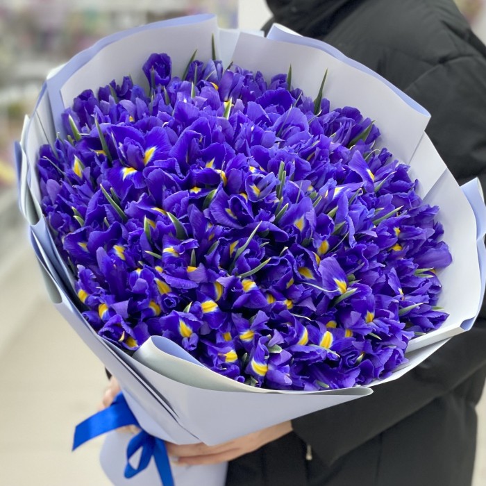 Букет из сиреневых ирисов