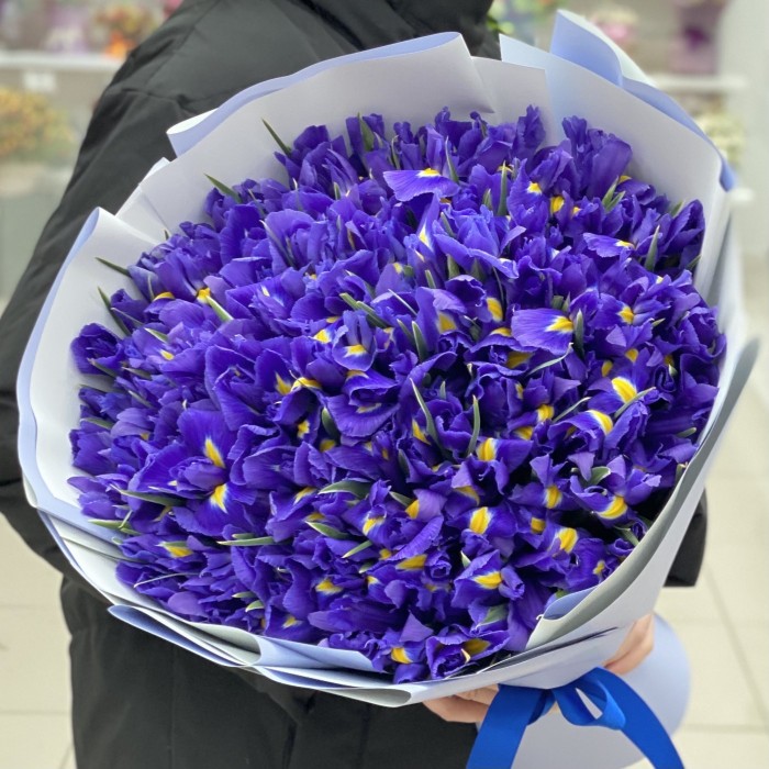 Букет из сиреневых ирисов