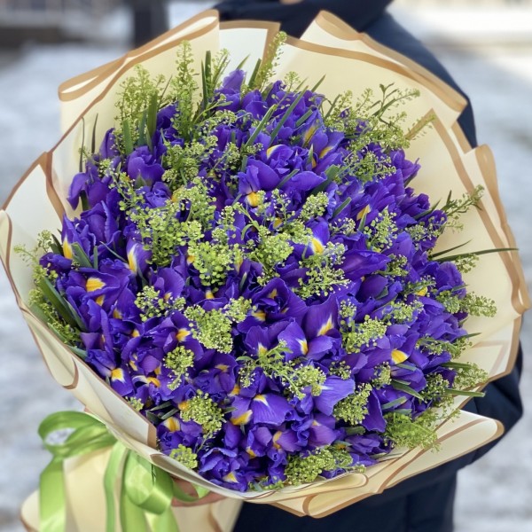 101 ирис с зеленью