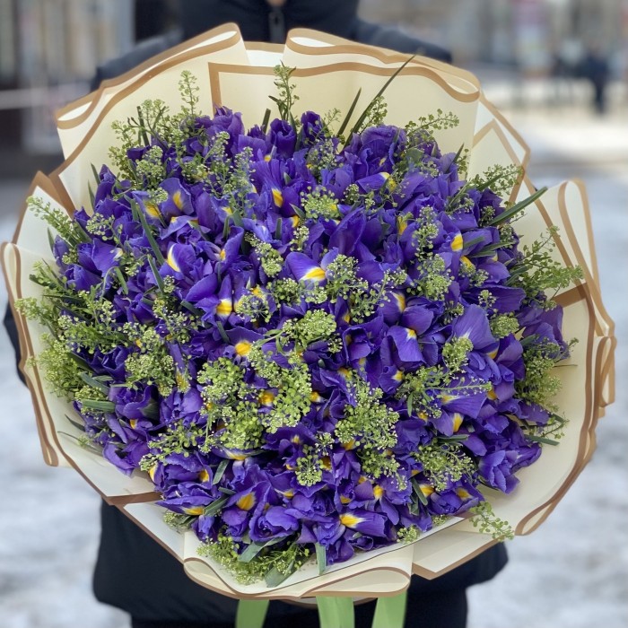 101 ирис с зеленью