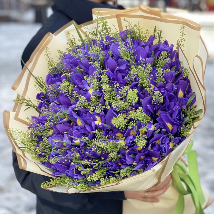 101 ирис с зеленью