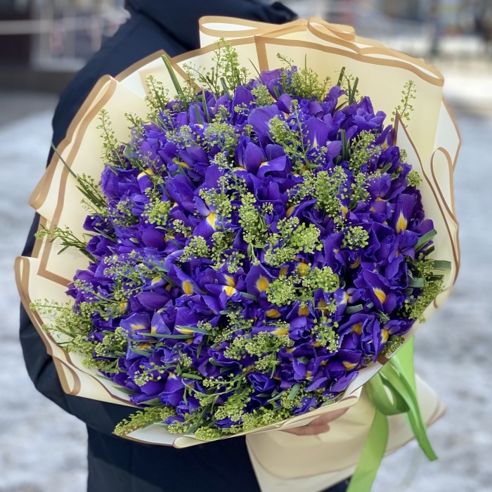 101 ирис с зеленью