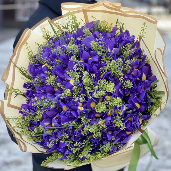 101 ирис с зеленью