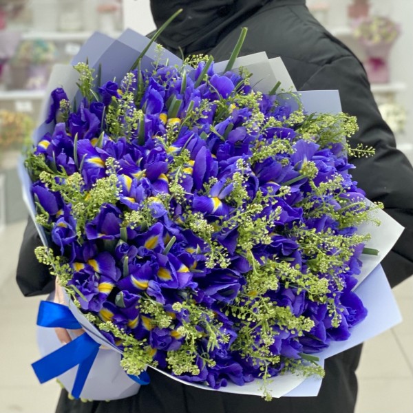 75 ирисов с зеленью