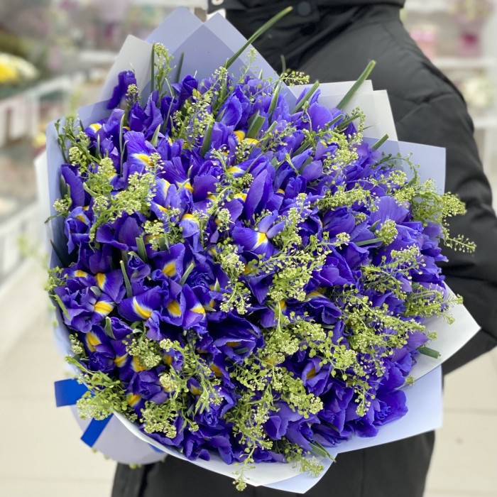 75 ирисов с зеленью