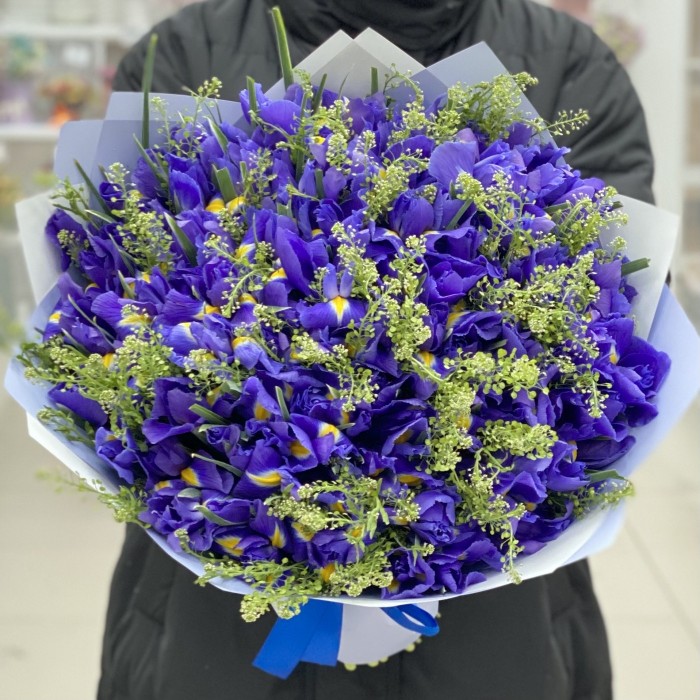 75 ирисов с зеленью