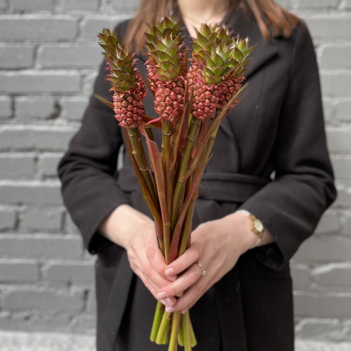 Ананас мини