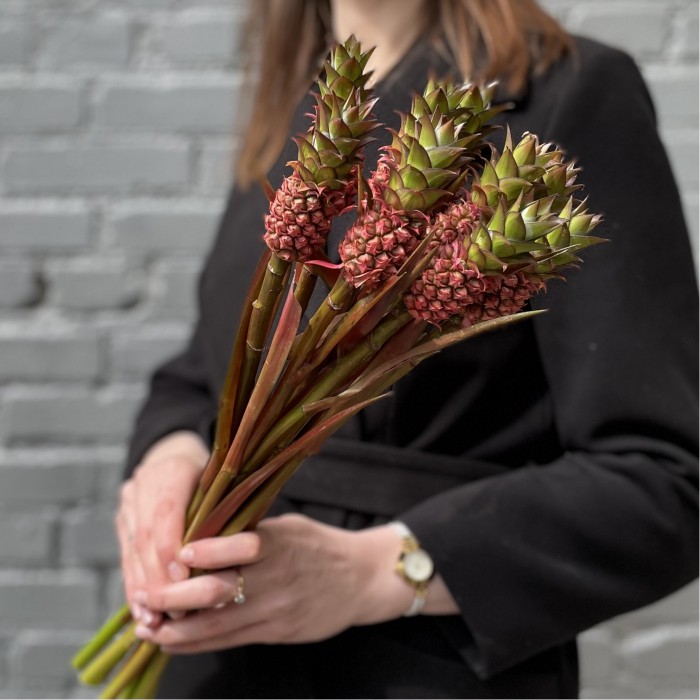 Ананас мини