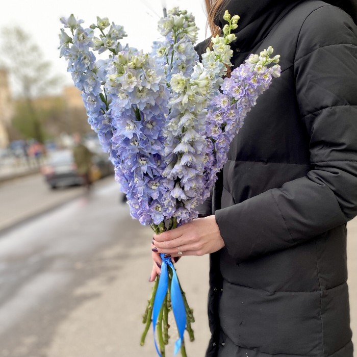 Дельфиниум голубой