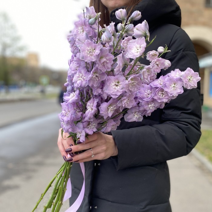 Дельфиниум сиреневый