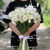 Ирис белый