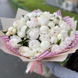 51 нежный пион 51 нежный пион