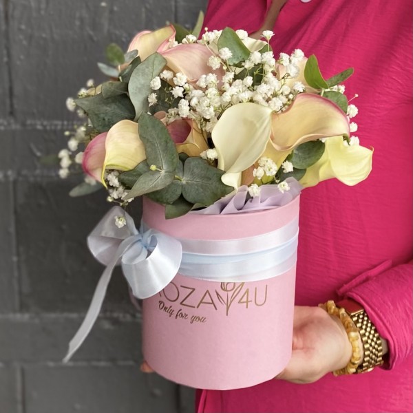 15 нежных калл с гипсофилой в коробке