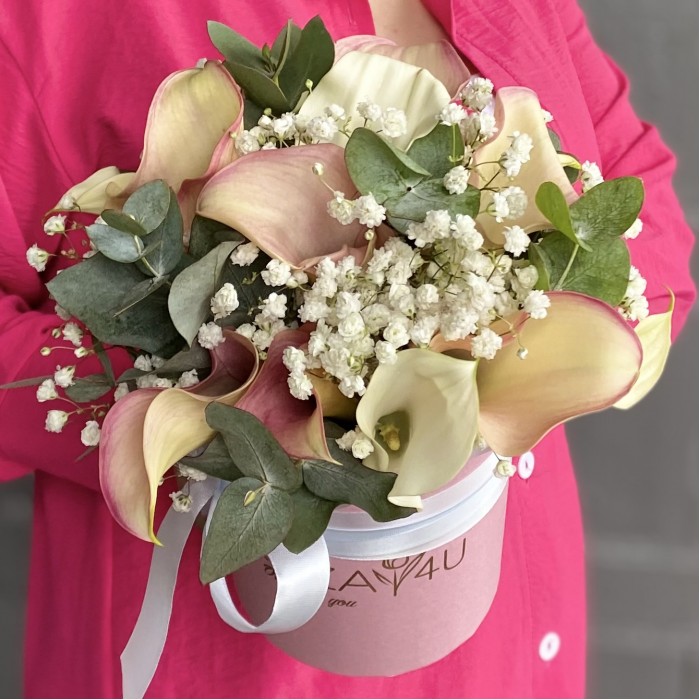 15 нежных калл с гипсофилой в коробке