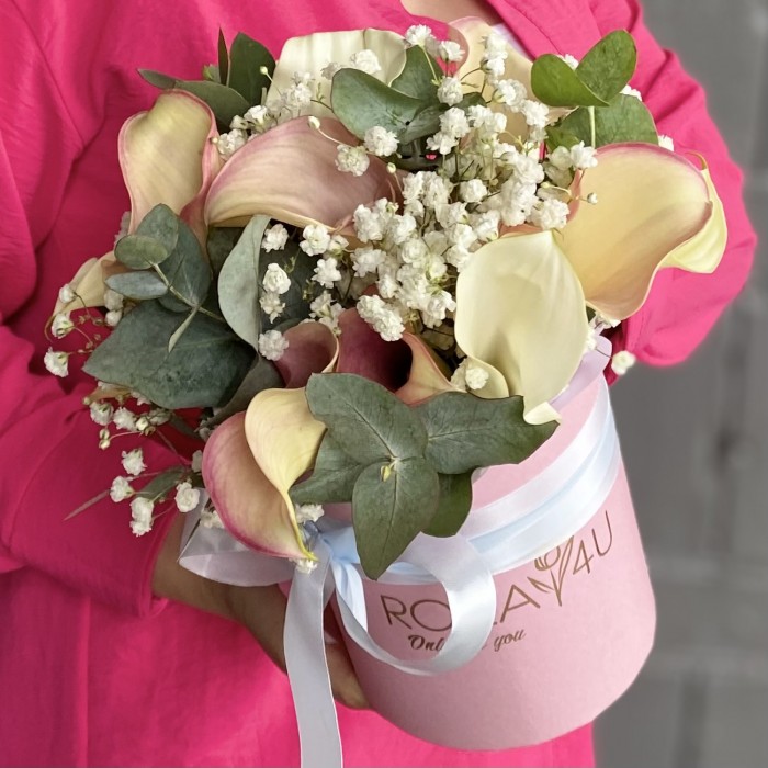 15 нежных калл с гипсофилой в коробке