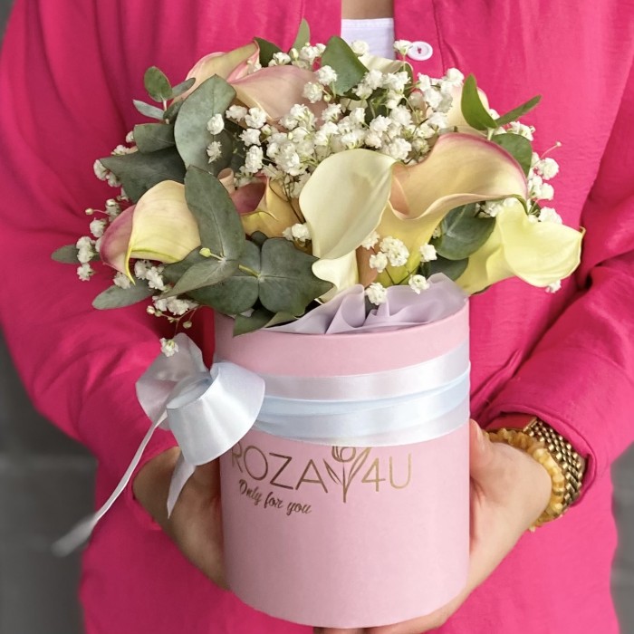 15 нежных калл с гипсофилой в коробке