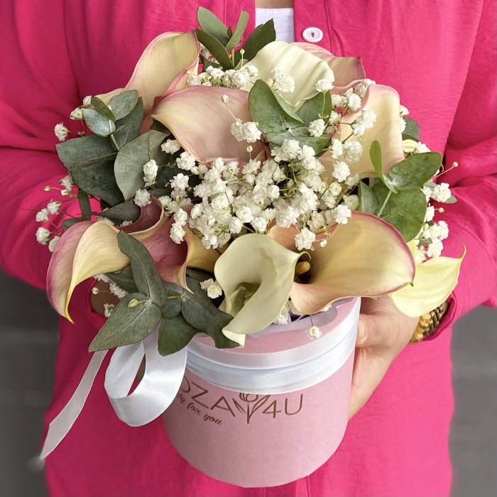 15 нежных калл с гипсофилой в коробке