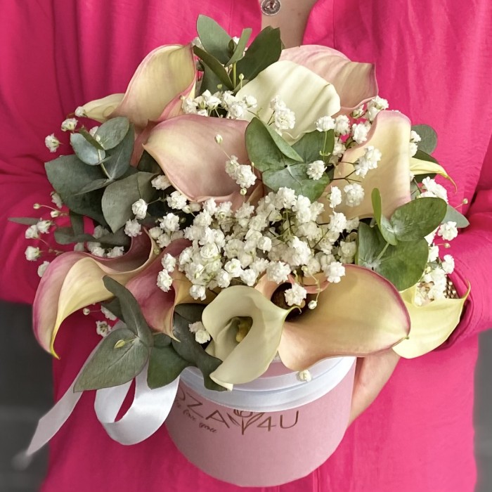 15 нежных калл с гипсофилой в коробке