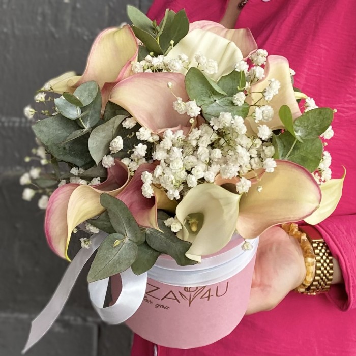 15 нежных калл с гипсофилой в коробке