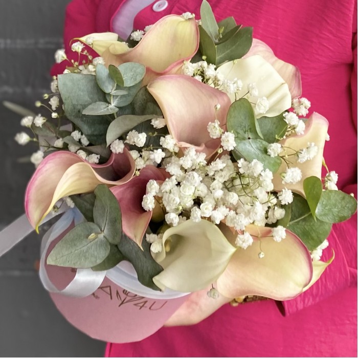 15 нежных калл с гипсофилой в коробке