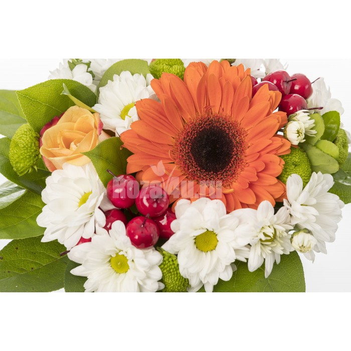 Хризантемы в кашпо