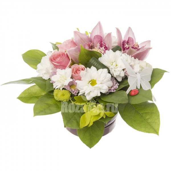 Композиция в кашпо "Орхидея"