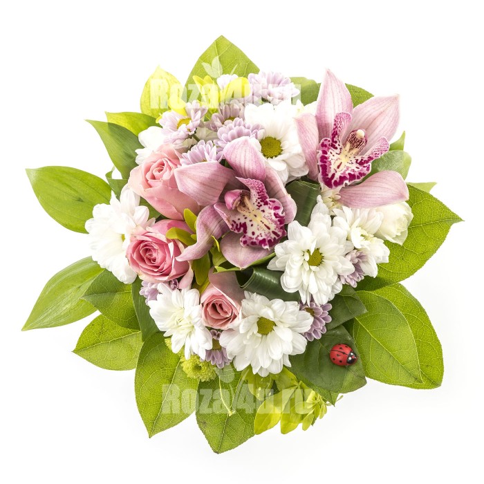 Композиция в кашпо "Орхидея"