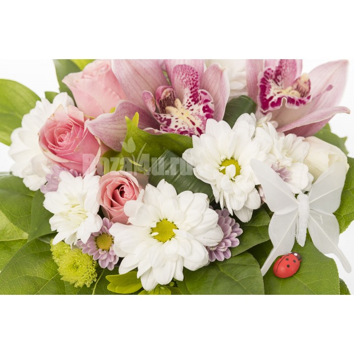 Композиция в кашпо "Орхидея"