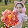 Ароматные пионовидные розы Кенсинг Гард