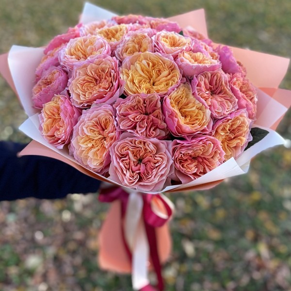 Ароматные пионовидные розы Кенсинг Гард