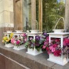 Композиция в фонаре Лимонная меренга