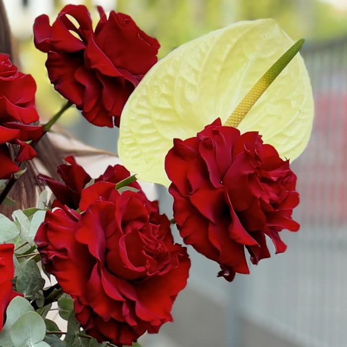 Композиция Для красной дорожки с антуриумом