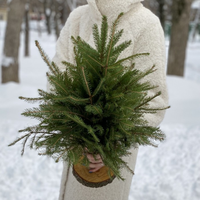 Ель на подставке