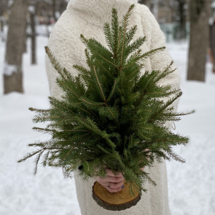 Ель на подставке