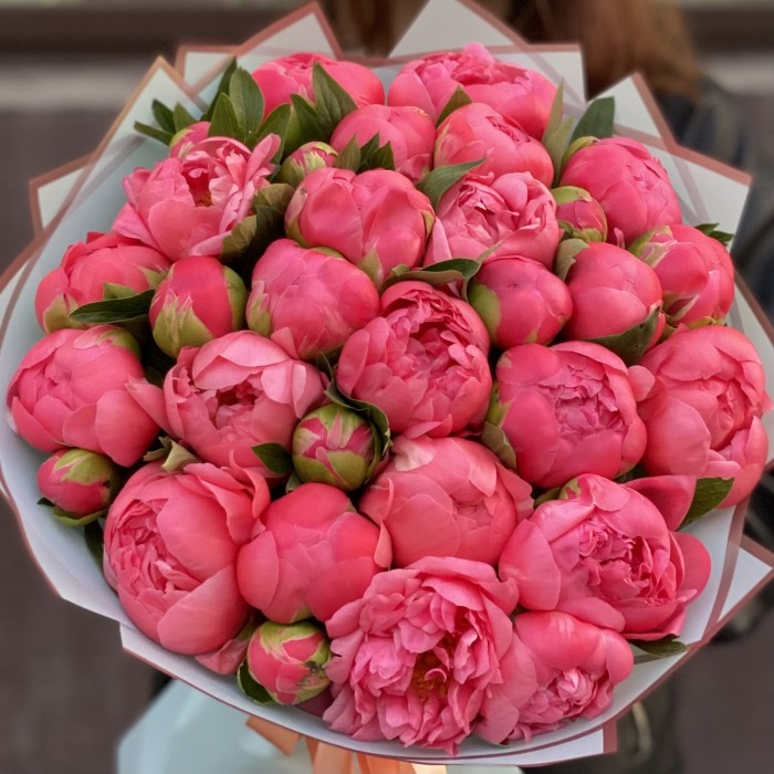 Букет из 31 кораллового пиона